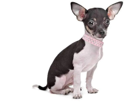 Rhinestone Dog Collar Bling XL Size 21 inch Neck PU Leather Crystal White Collar by Anti Spier