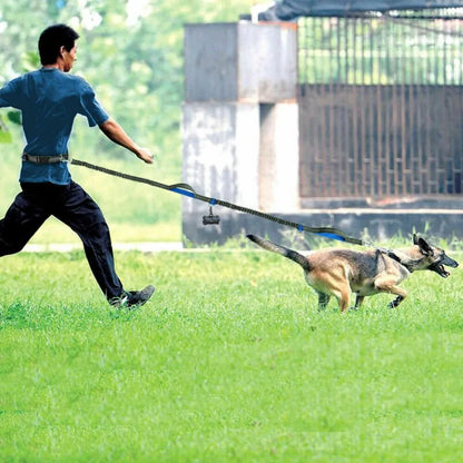 Reflective Rope Pet Leashes by Anti Spier