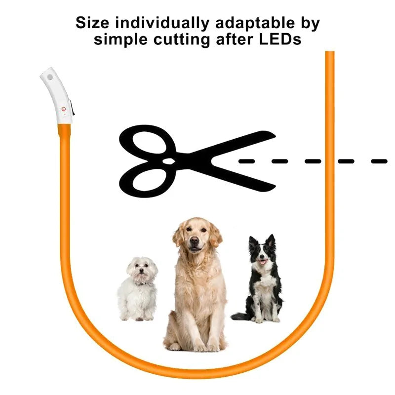 LED Collar Night Safety For Pets by Anti Spier