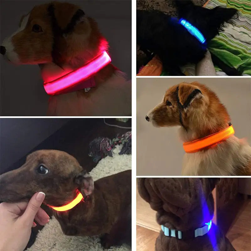 Safety And Visibility For Night Walks by Anti Spier