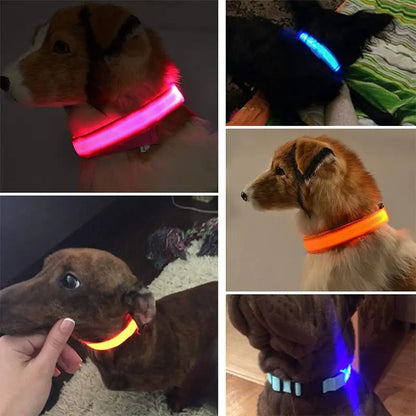 Safety And Visibility For Night Walks by Anti Spier