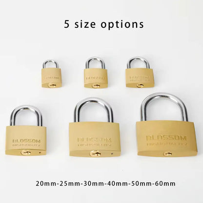 Brass Keyed Safety Padlock by Anti Spier