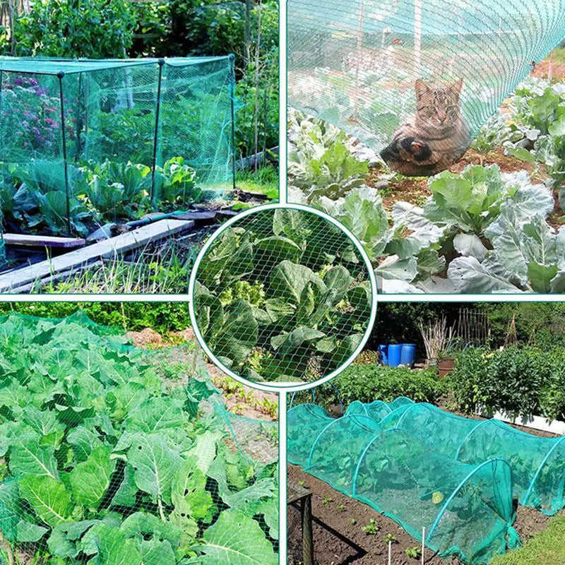 33FT Anti Bird Netting Pond Net Protection Tree Crops Plants Fruits Garden Mesh by Anti Spier