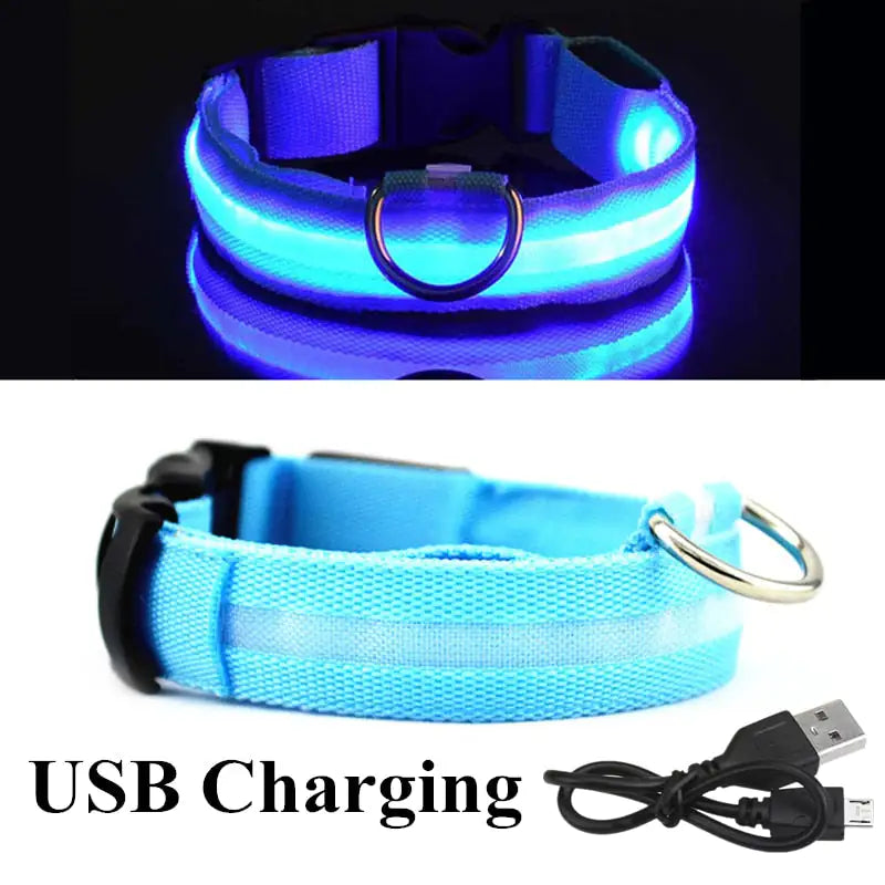 Safety And Visibility For Night Walks by Anti Spier