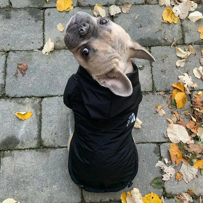 Reflective Pet Hooded Jacket by Anti Spier