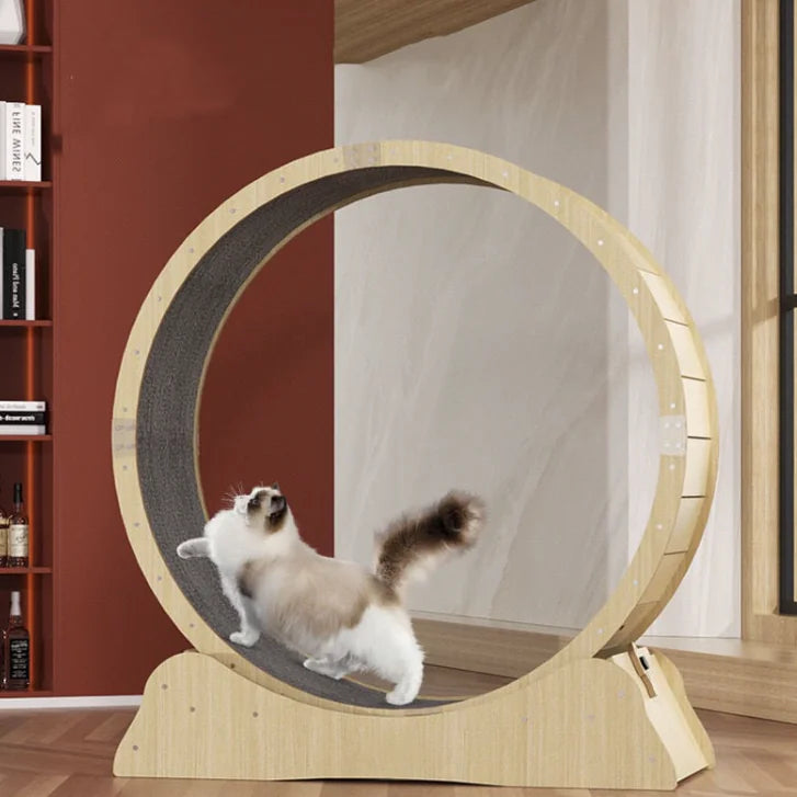 Purr Fit Cat Running Wheel by Anti Spier