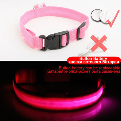 LED Dog Collar - Anti-Lost Rechargeable Safety Light-Up Collar for Night Walks by Anti Spier