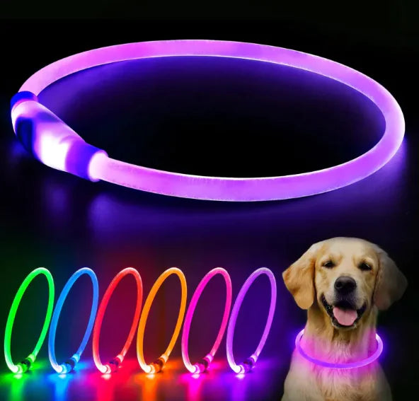LED Rechargeable Dog Collar by Anti Spier