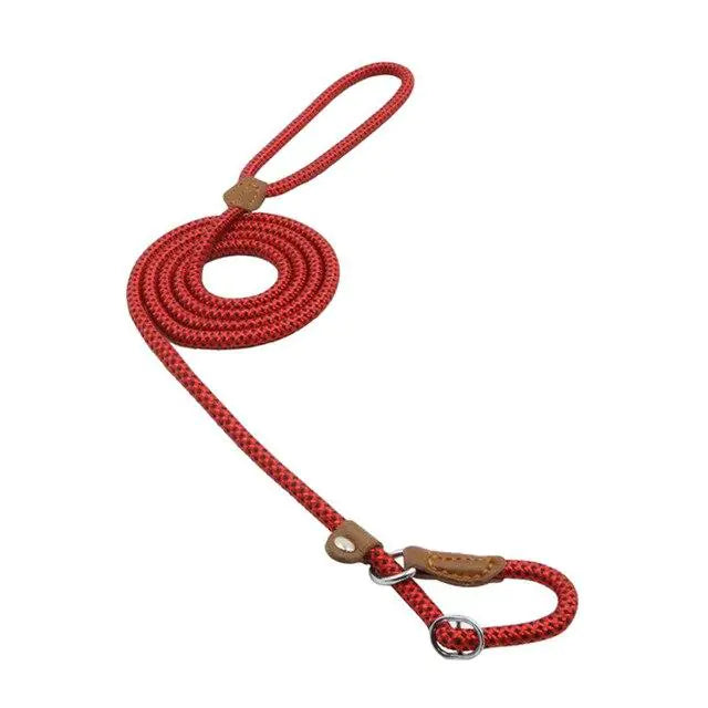 Nylon Pup Set by Anti Spier