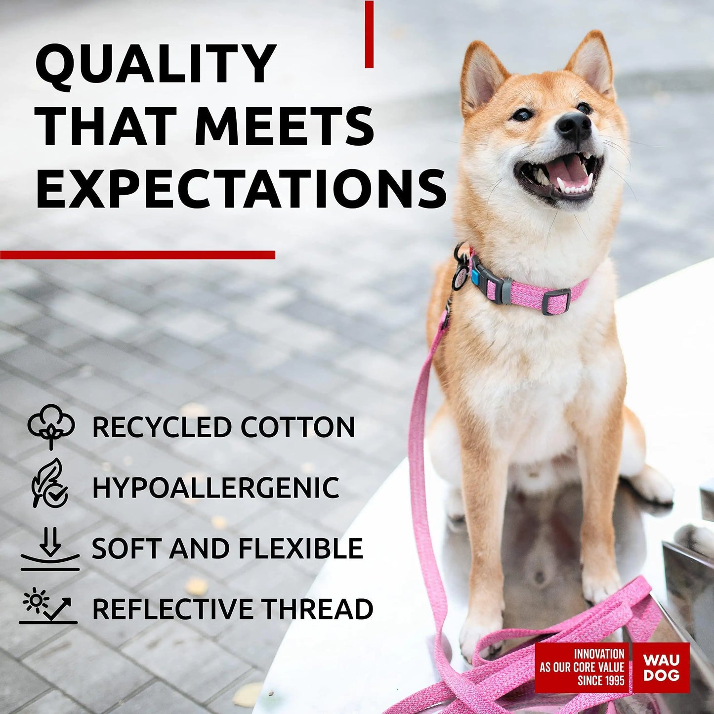 Reflective Cotton Dog Collar Eco Friendly Alt to Nylon Collar 10 16 in Neck x by Anti Spier