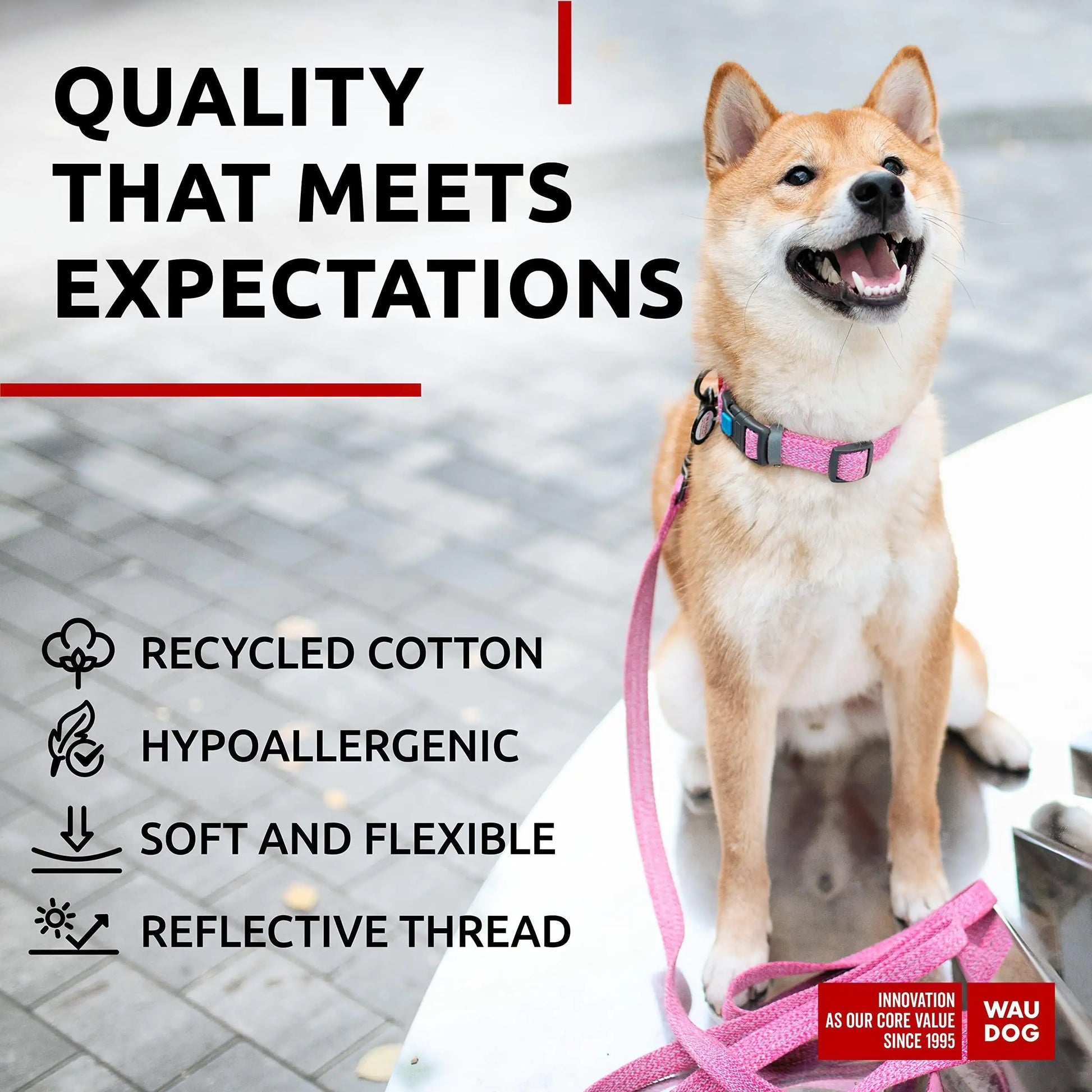 Reflective Cotton Dog Collar Eco Friendly Alt to Nylon Collar 10 16 in Neck x by Anti Spier