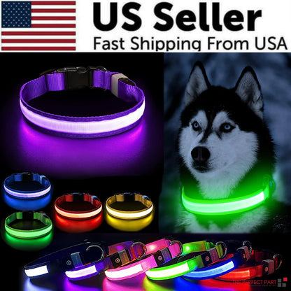 LED Adjustable Dog Collar Blinking Flashing Light Up Glow Pets Safety Waterproof by Anti Spier