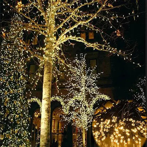 Firefly Solar mini LED Christmas lights on String by Anti Spier