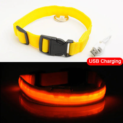 LED Dog Collar - Anti-Lost Rechargeable Safety Light-Up Collar for Night Walks by Anti Spier