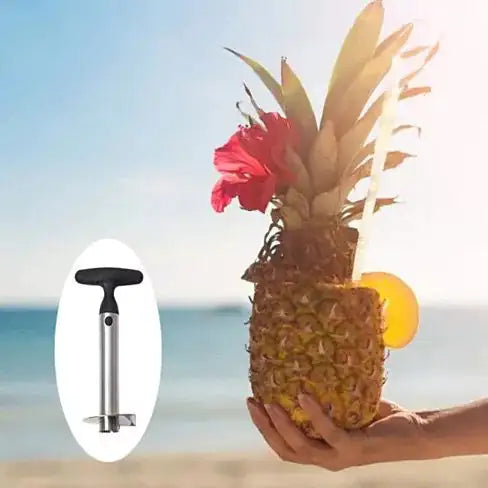 Pretty Prickly Pineapple Peeler The 4P Tool by Anti Spier