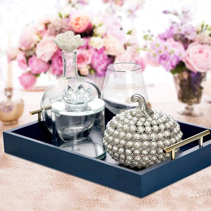 Modern and Sophisticated Ottoman Tray by Anti Spier