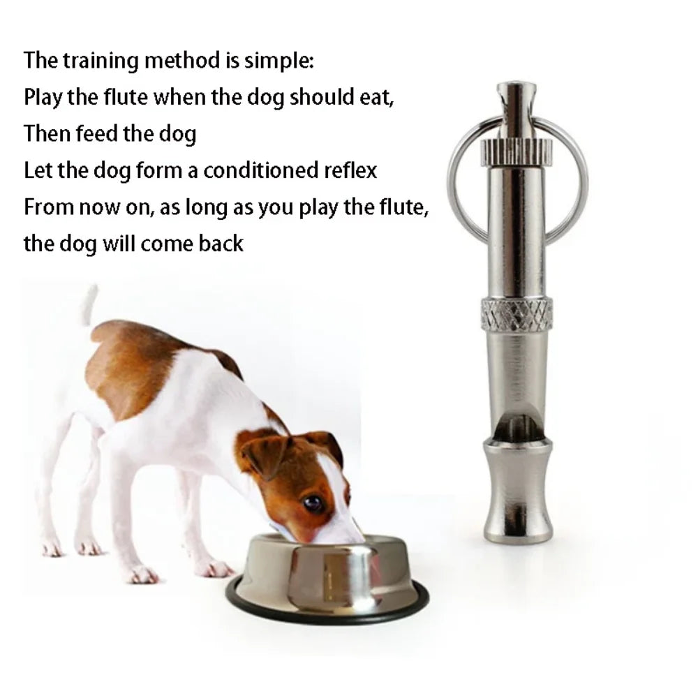 Dog Training Whistle dog Whistle Outdoor Survival Training Silver Silent Sound Training Sport Whistle for dogs Supplies by Anti Spier
