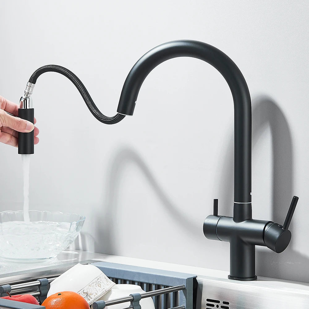 Filtered Kitchen Sink Faucet With Retractable Sprayer Brass Water Filter Tap Drinking Water Tap Vessel Sink Mixer For Kitchen by Anti Spier