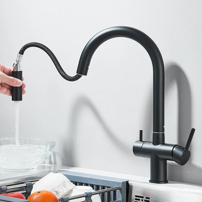 Filtered Kitchen Sink Faucet With Retractable Sprayer Brass Water Filter Tap Drinking Water Tap Vessel Sink Mixer For Kitchen by Anti Spier