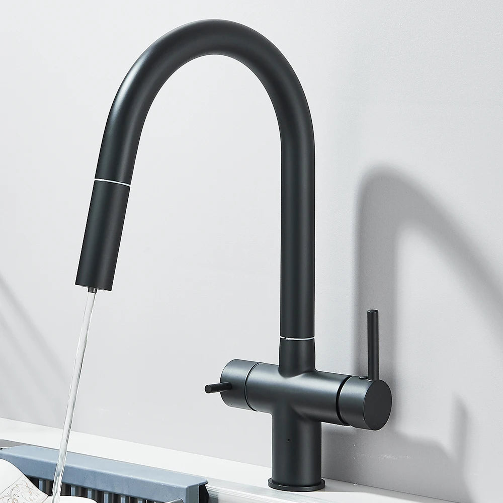 Filtered Kitchen Sink Faucet With Retractable Sprayer Brass Water Filter Tap Drinking Water Tap Vessel Sink Mixer For Kitchen by Anti Spier