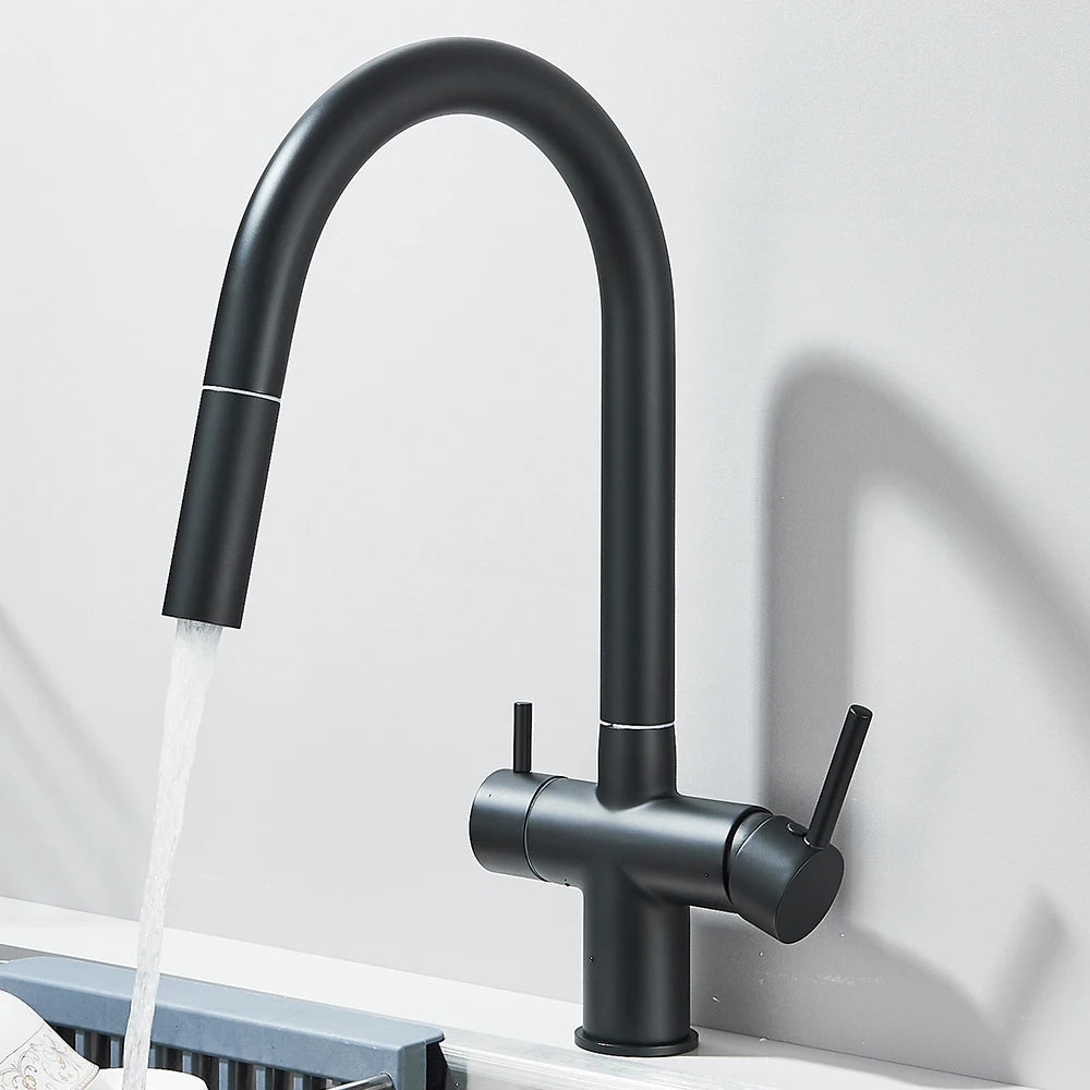 Filtered Kitchen Sink Faucet With Retractable Sprayer Brass Water Filter Tap Drinking Water Tap Vessel Sink Mixer For Kitchen by Anti Spier