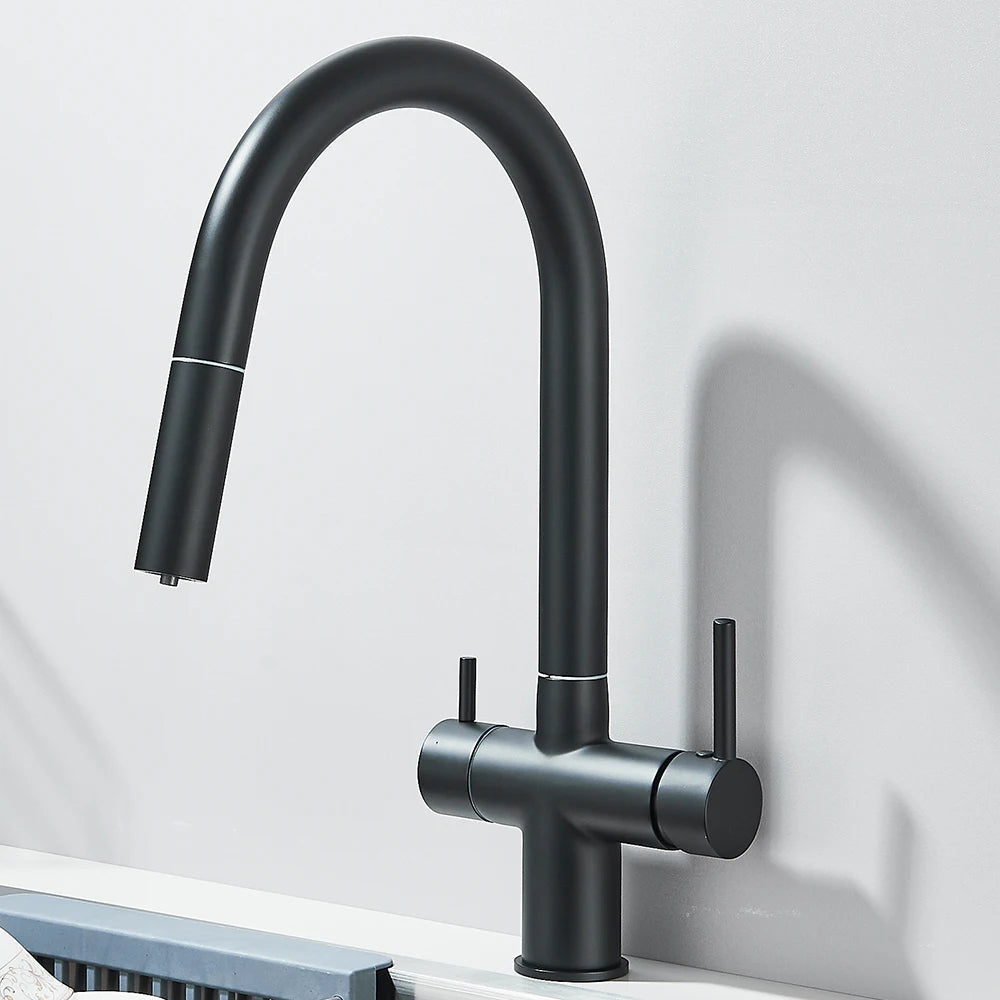 Filtered Kitchen Sink Faucet With Retractable Sprayer Brass Water Filter Tap Drinking Water Tap Vessel Sink Mixer For Kitchen by Anti Spier