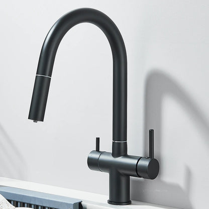 Filtered Kitchen Sink Faucet With Retractable Sprayer Brass Water Filter Tap Drinking Water Tap Vessel Sink Mixer For Kitchen by Anti Spier