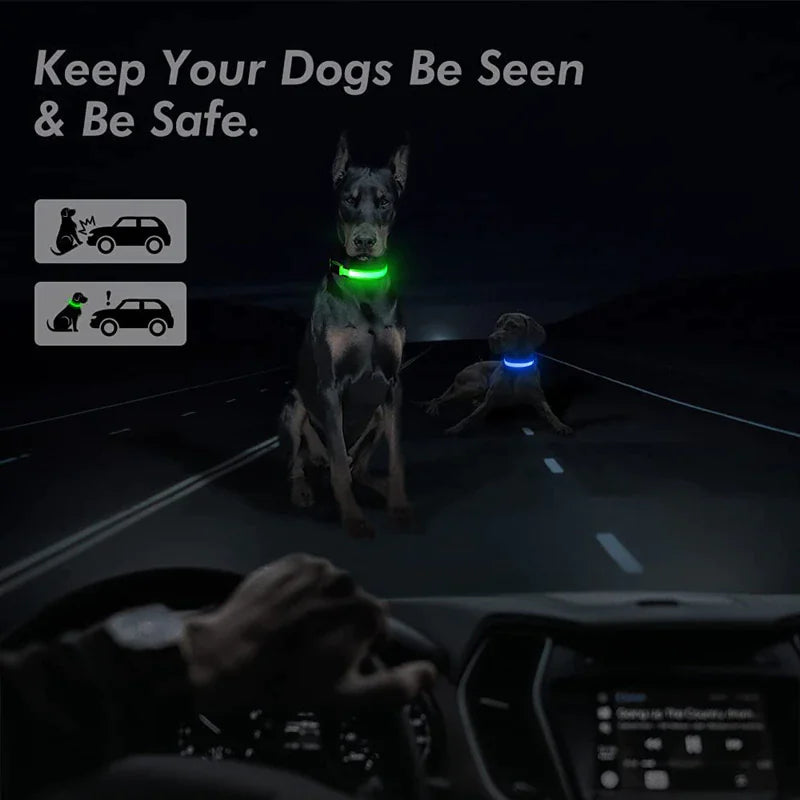 LED Adjustable Dog Collar Blinking Flashing Light Up Glow Pets Safety Waterproof by Anti Spier