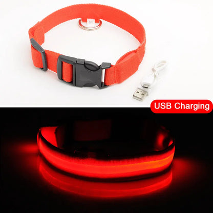 LED Dog Collar - Anti-Lost Rechargeable Safety Light-Up Collar for Night Walks by Anti Spier