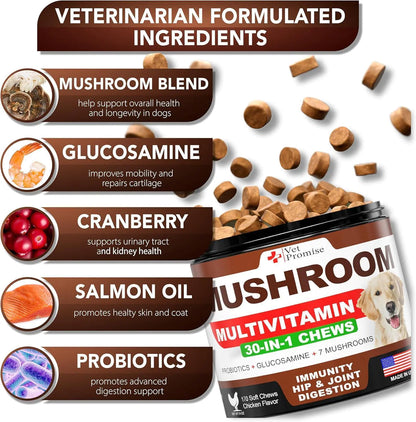Mushroom for Dogs 170 Chews Turkey Tail Mushroom for Dogs Lions Mane Reishi by Anti Spier
