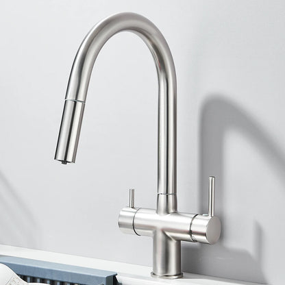 Filtered Kitchen Sink Faucet With Retractable Sprayer Brass Water Filter Tap Drinking Water Tap Vessel Sink Mixer For Kitchen by Anti Spier