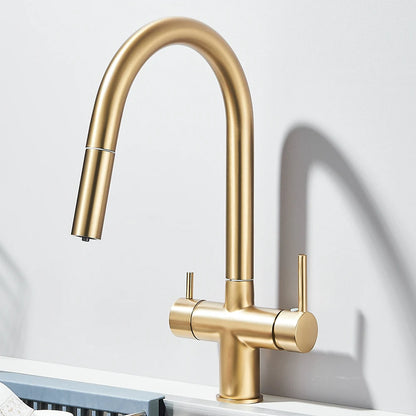 Filtered Kitchen Sink Faucet With Retractable Sprayer Brass Water Filter Tap Drinking Water Tap Vessel Sink Mixer For Kitchen by Anti Spier