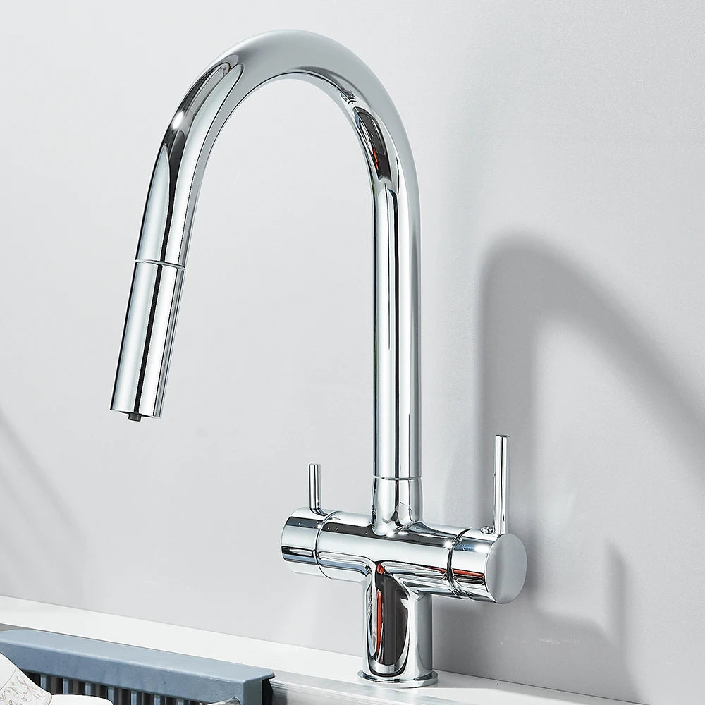 Filtered Kitchen Sink Faucet With Retractable Sprayer Brass Water Filter Tap Drinking Water Tap Vessel Sink Mixer For Kitchen by Anti Spier