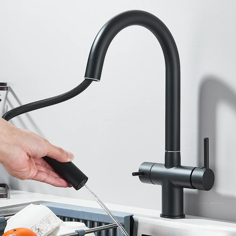 Filtered Kitchen Sink Faucet With Retractable Sprayer Brass Water Filter Tap Drinking Water Tap Vessel Sink Mixer For Kitchen by Anti Spier