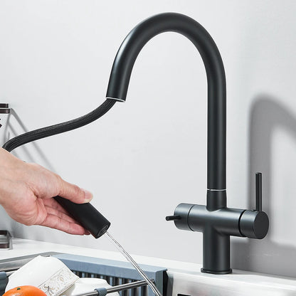 Filtered Kitchen Sink Faucet With Retractable Sprayer Brass Water Filter Tap Drinking Water Tap Vessel Sink Mixer For Kitchen by Anti Spier