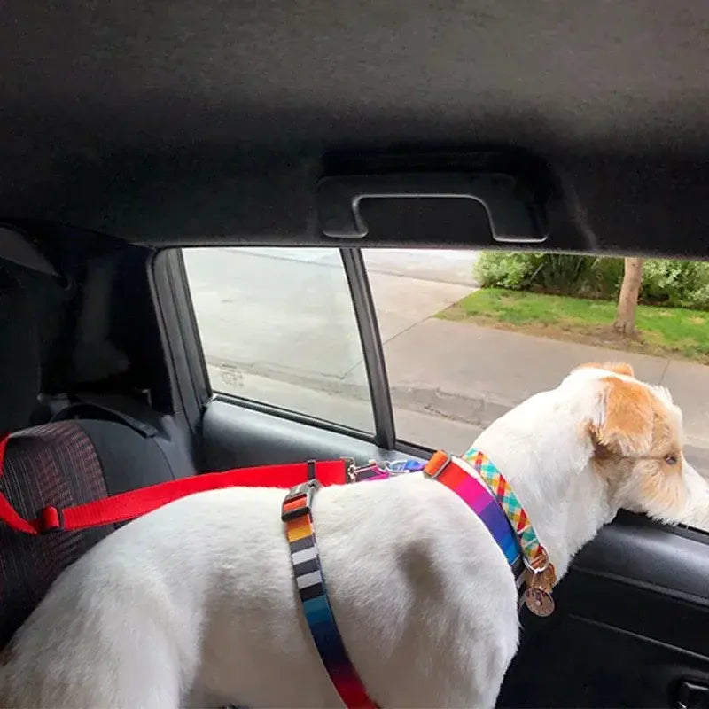 Pet Car Seat Belt & Harness Safety And Style by Anti Spier