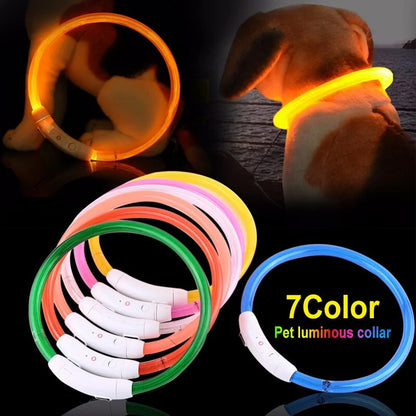 LED Collar Night Safety For Pets by Anti Spier