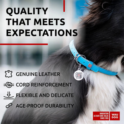 Ultra Soft Rolled Leather Dog Collar for Small Dogs Soft Padded Dog Collars by Anti Spier