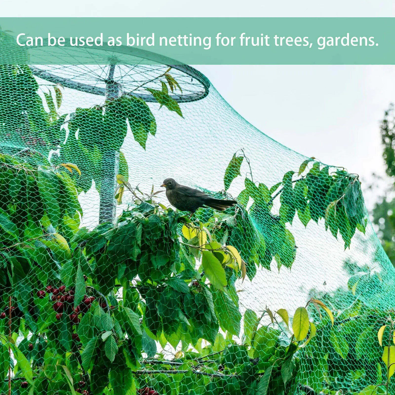 33FT Anti Bird Netting Pond Net Protection Tree Crops Plants Fruits Garden Mesh by Anti Spier