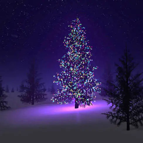 Colorful Firefly - Solar mini LED Christmas lights on Strings by Anti Spier