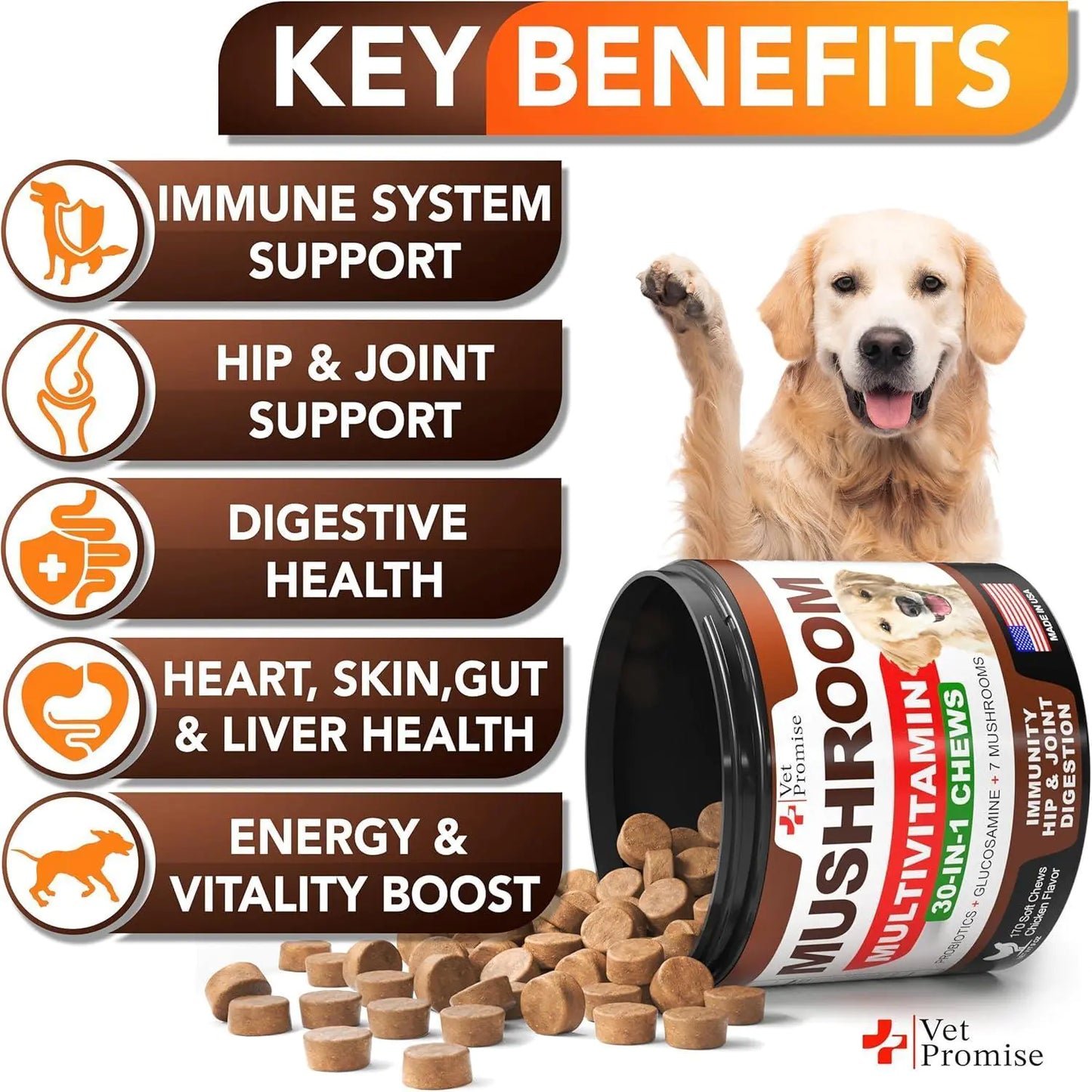 Mushroom for Dogs 170 Chews Turkey Tail Mushroom for Dogs Lions Mane Reishi by Anti Spier