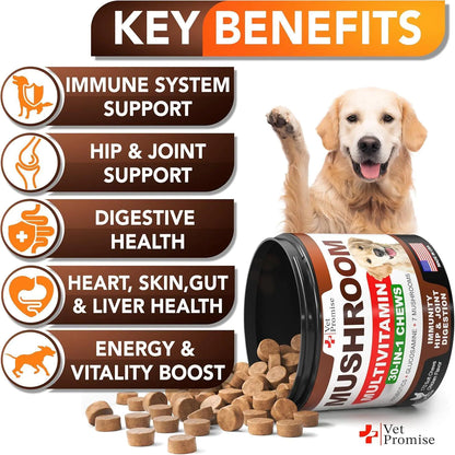 Mushroom for Dogs 170 Chews Turkey Tail Mushroom for Dogs Lions Mane Reishi by Anti Spier