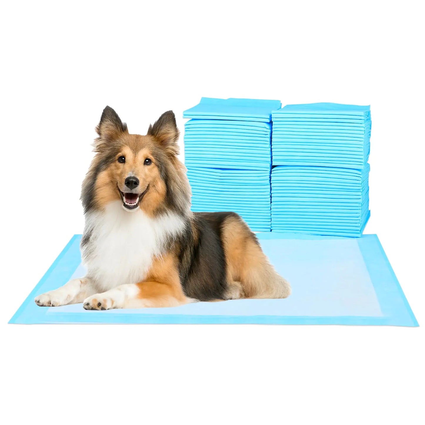 Super-Absorbent Waterproof Dog and Puppy Pet Training Pad Housebreaking Pet PadBlue (23.6"x23.6" （100PCS）) by Anti Spier