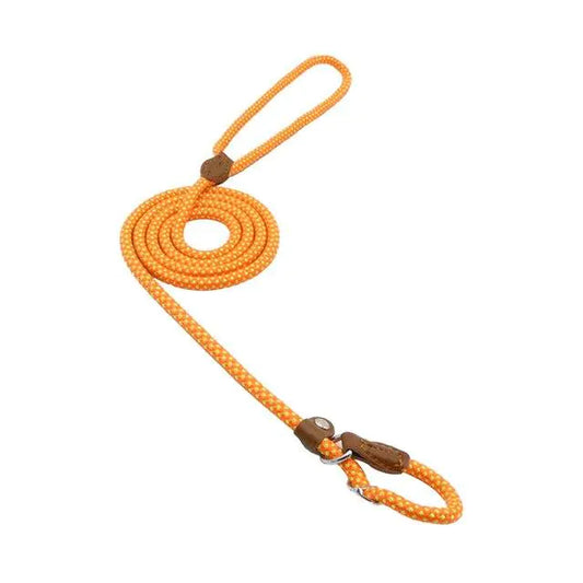 Nylon Pup Set by Anti Spier