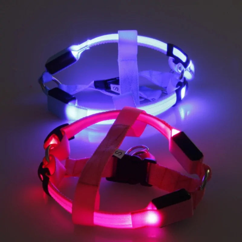 Nylon Pet Safety LED Harness by Anti Spier