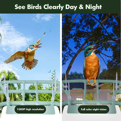 Solar-Powered Waterproof Bird Feeder with Camera by Anti Spier