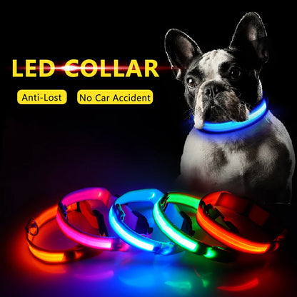 LED Dog Collar - Anti-Lost Rechargeable Safety Light-Up Collar for Night Walks by Anti Spier