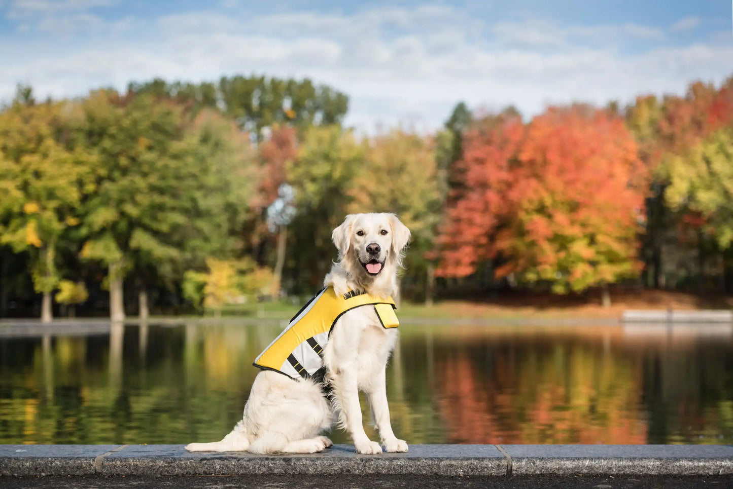 Dog Life Vest Jacket by Anti Spier