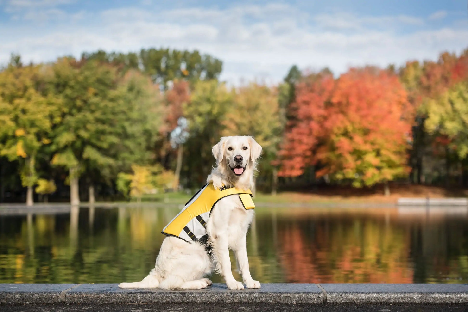 Dog Life Vest Jacket by Anti Spier