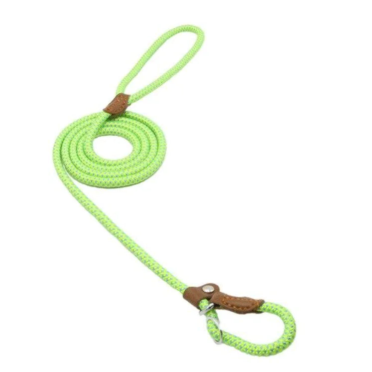 Nylon Pup Set by Anti Spier